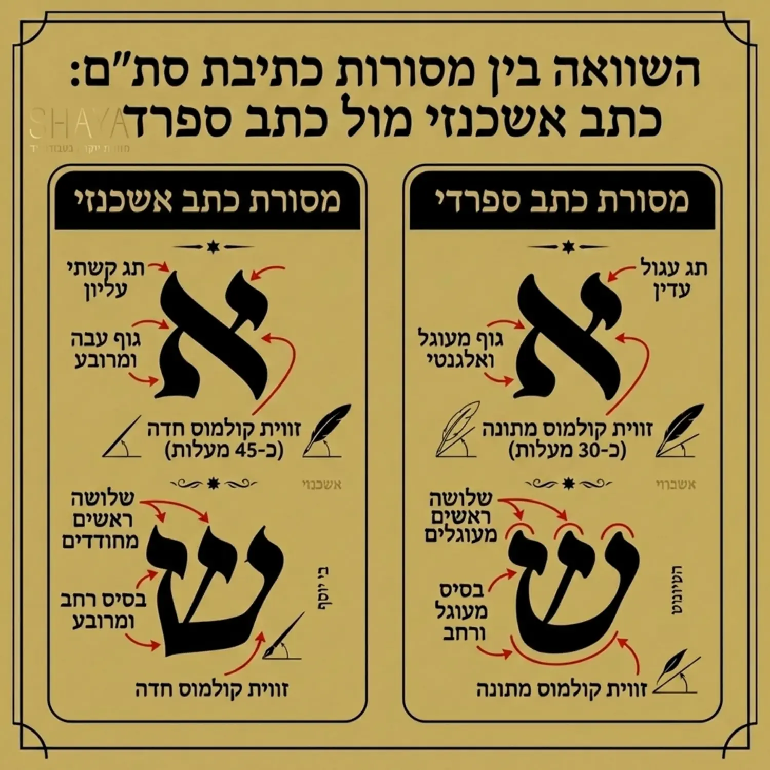 תרשים ויזואלי המחולק לשניים ומדגים את ההבדלים בין כתב אשכנזי לכתב ספרדי באותיות נבחרות כמו האלף והשין, עם הדגשה מיוחדת בחיצים על התגים הייחודיים לכל מסורת ועל זווית הקולמוס