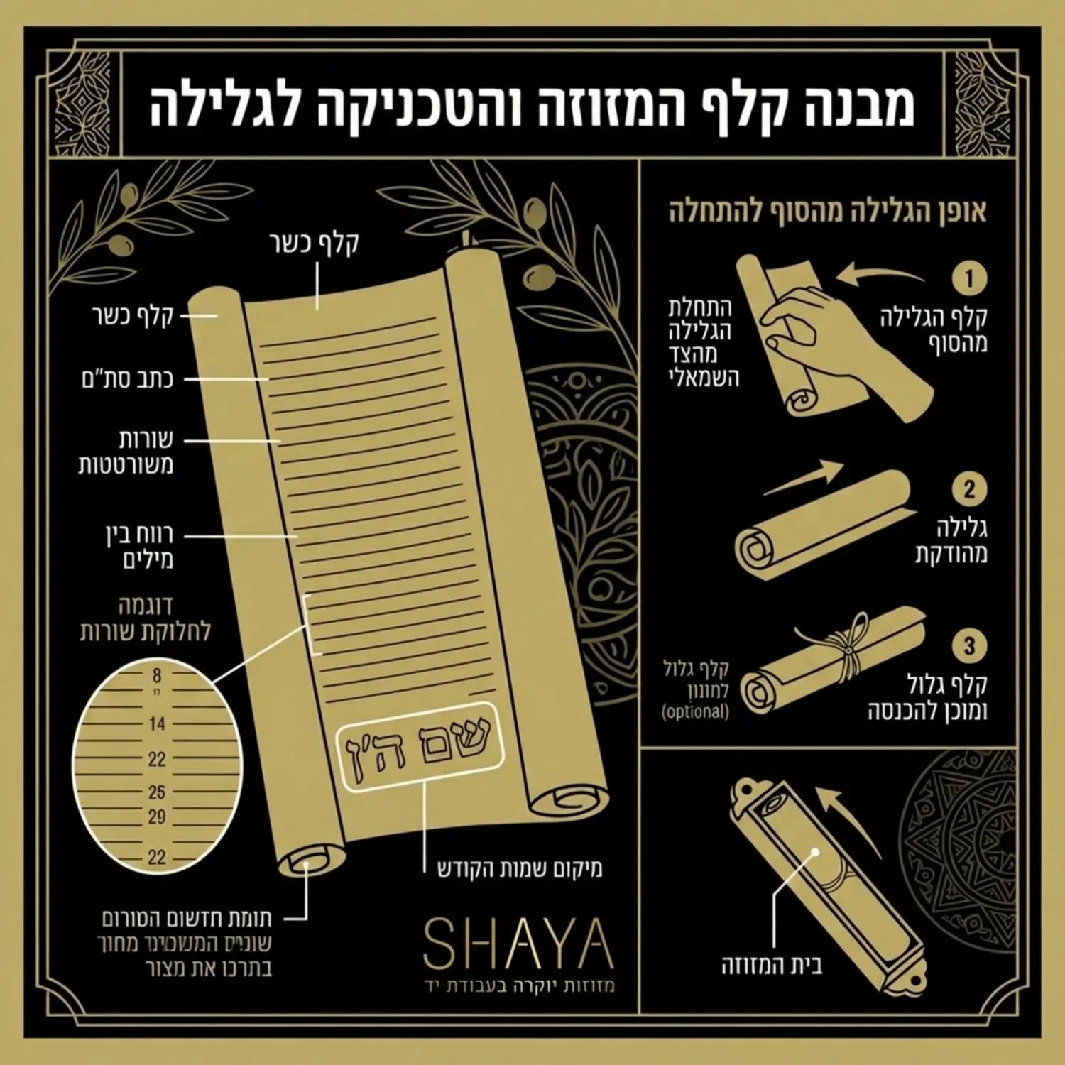 אינפוגרפיקה המציגה את מבנה קלף המזוזה הפנימי, חלוקת השורות, מיקום שמות הקודש והאופן המדויק שבו גוללים את הקלף מהסוף להתחלה כדי להכניסו לבית המזוזה